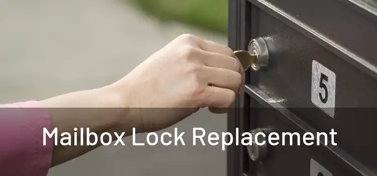  Mailbox Lock Replacement 